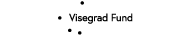 logo THE INTERNATIONAL VISEGRAD FUND 
