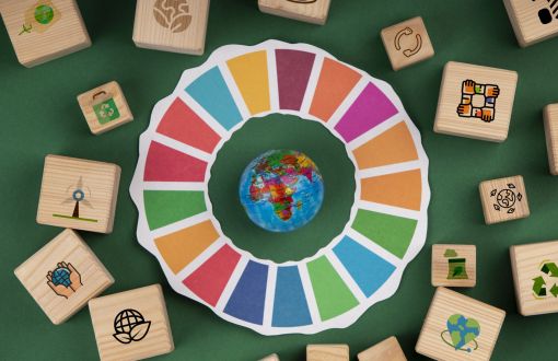 cele-zrownowazonego-rozwoju-martwa-natura